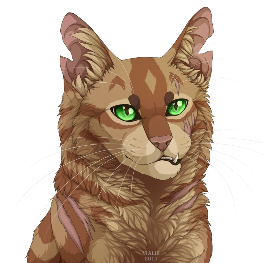  p data-id="gnwn6i142k">《 a target="_blank" href="/item/猫武士