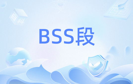 BSS段_百度百科