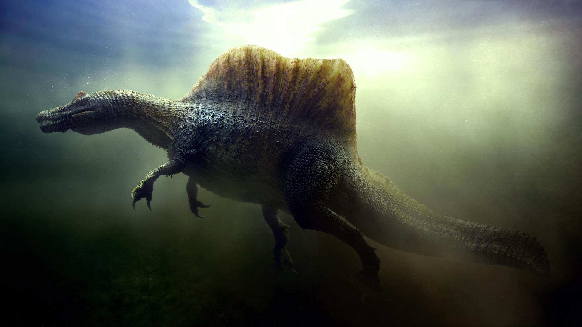  p>棘龙属(属名:spinosaurus)意思为"有棘的蜥蜴" ,是种 a target="