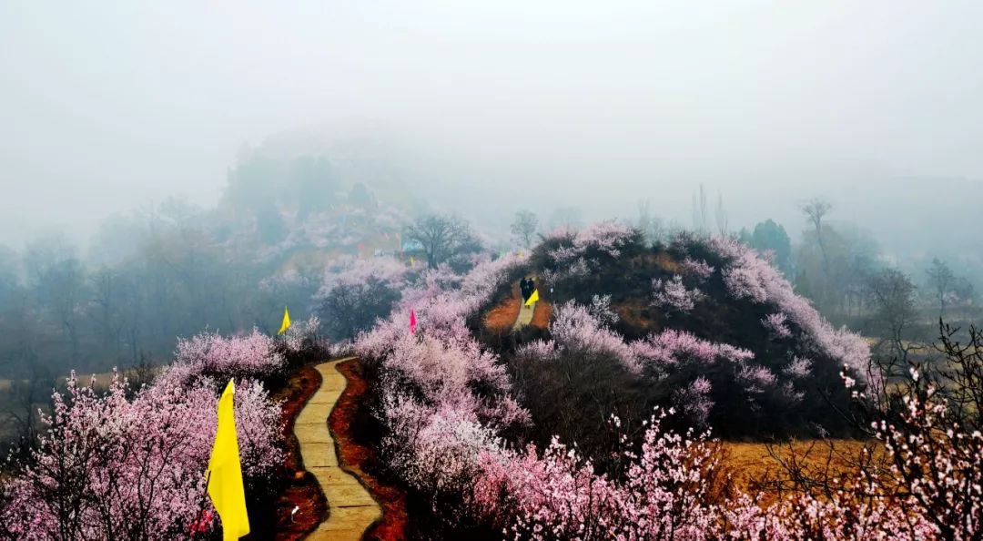 ="193811">陕西 /a>省 a target="_blank" href="/item/宝鸡/395847"