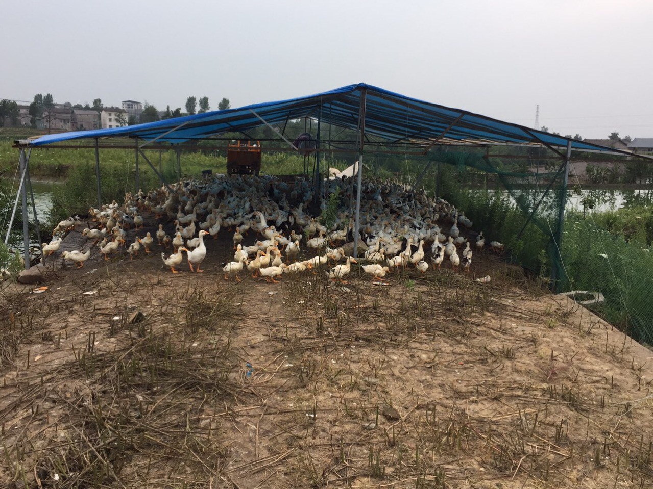  p data-id="gnhecycmx8">元山镇,隶属于四川省巴中市平昌县,地处平昌