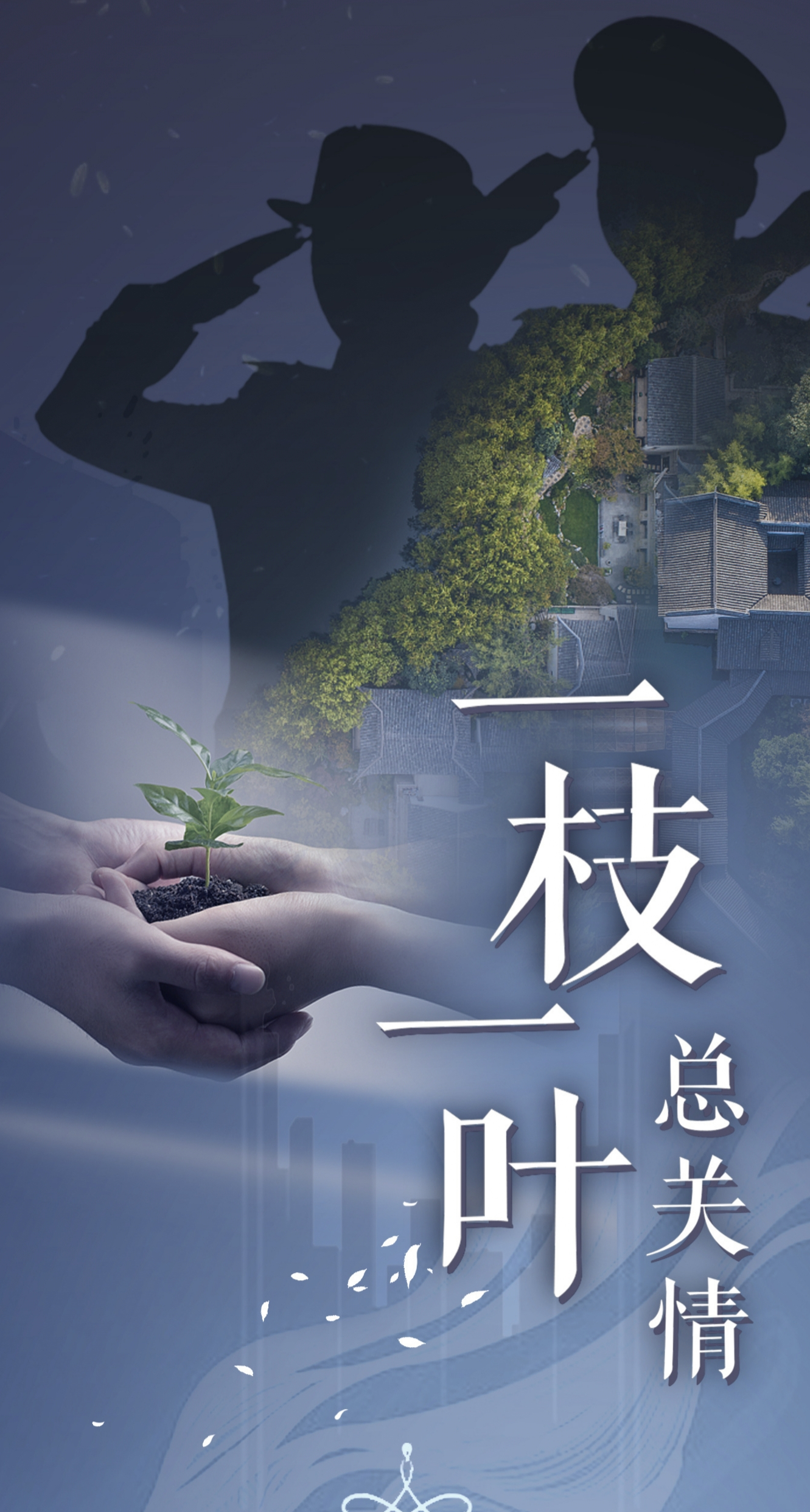 一枝一叶总关情