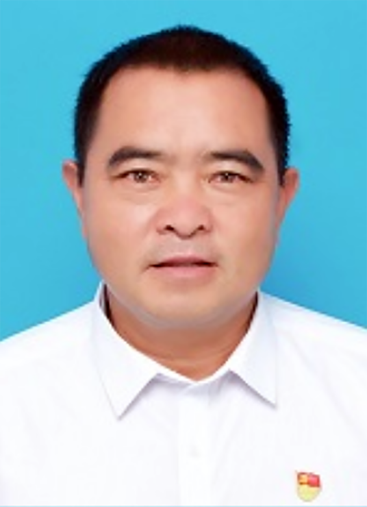 王建杰（云南省文山州丘北县双龙营镇平坦小学校党支部书记、校长）_百度百科