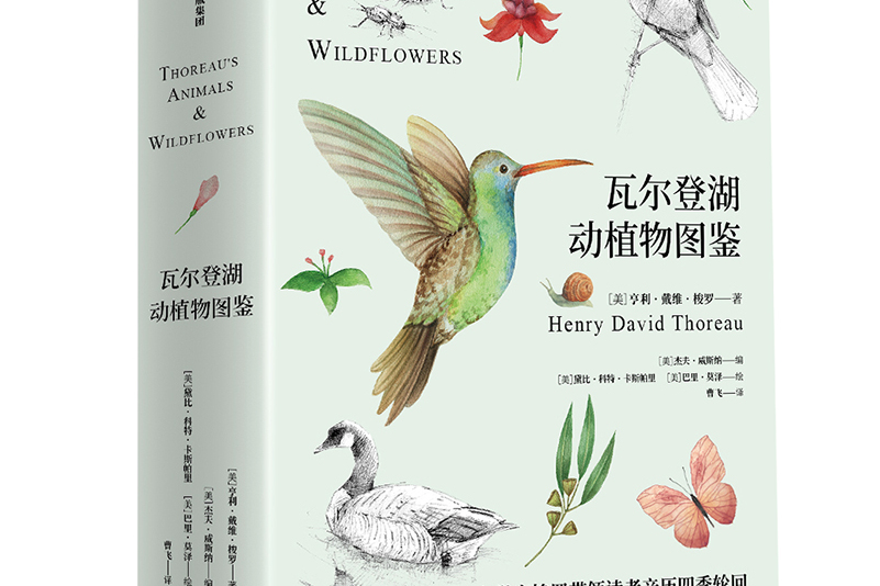 瓦尔登湖动植物图鉴