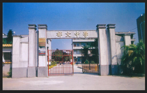 临泉郁文中学