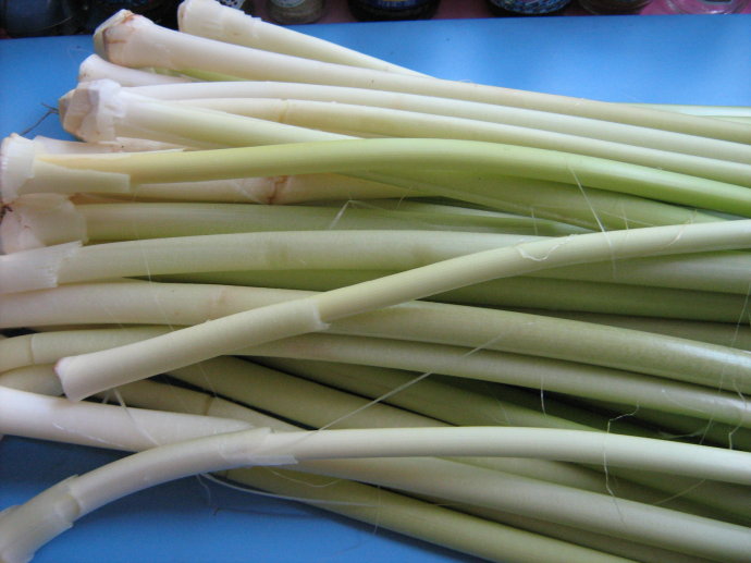 又名深蒲,蒲荔久,蒲笋,蒲芽,蒲白,蒲儿根,蒲儿菜,为香蒲科多年生植物 