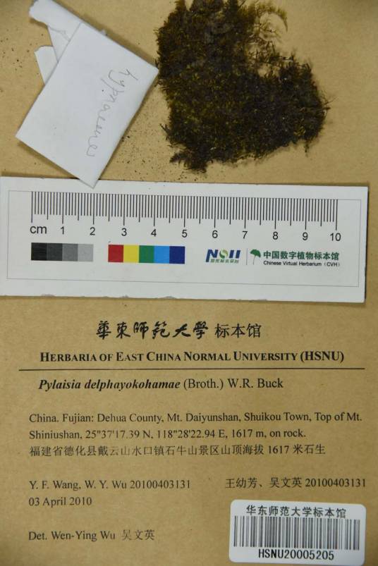 短叶毛锦藓_百度百科