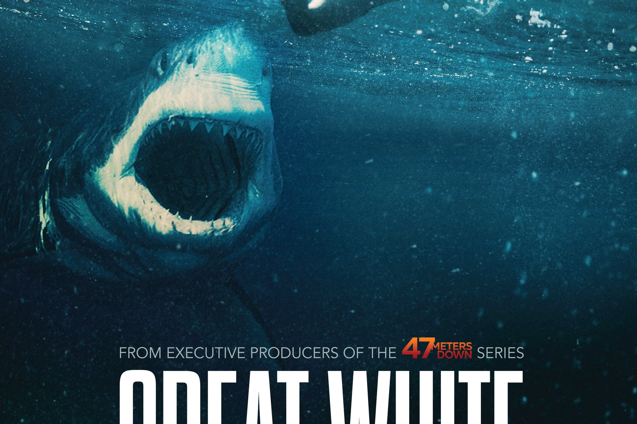 阿隆·贾库本科等主演的惊悚片,该片于2021年6月11日在澳大利亚上映