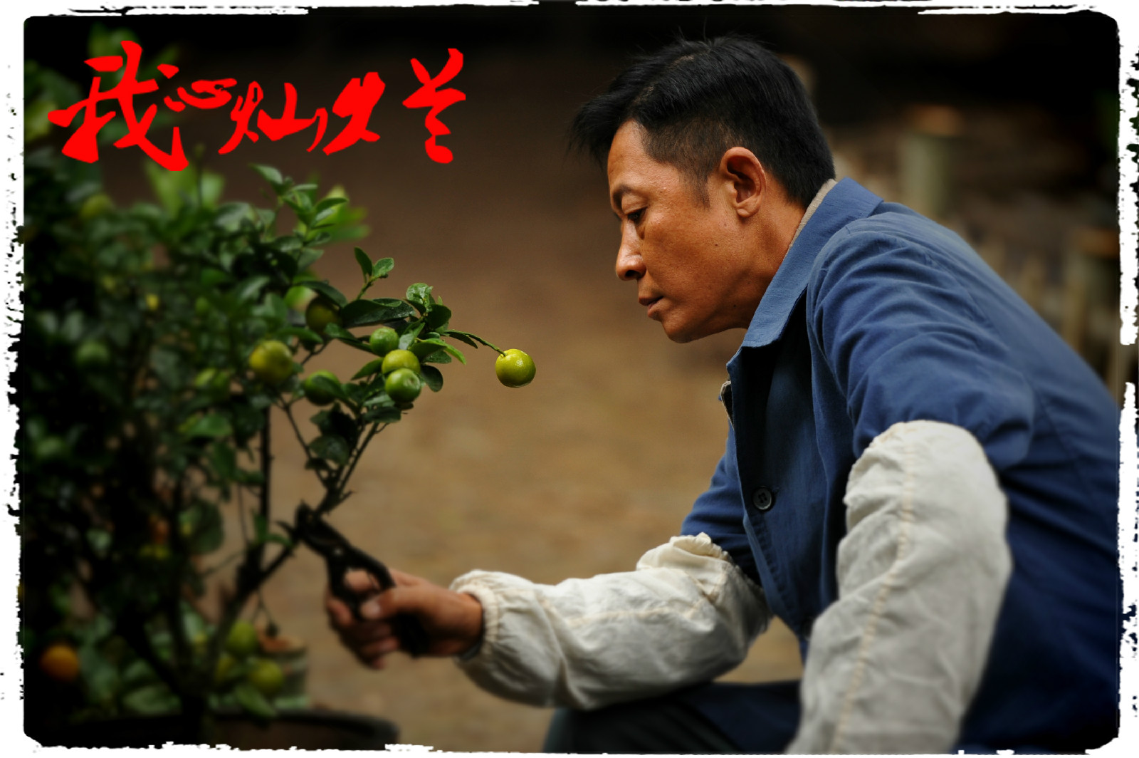 《我心灿烂》是由中