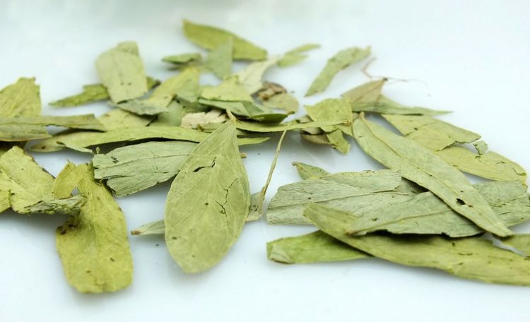  p>番泻叶又名旃那叶,泡竹叶,为豆科植物狭叶番泻或尖叶番泻的小叶,原