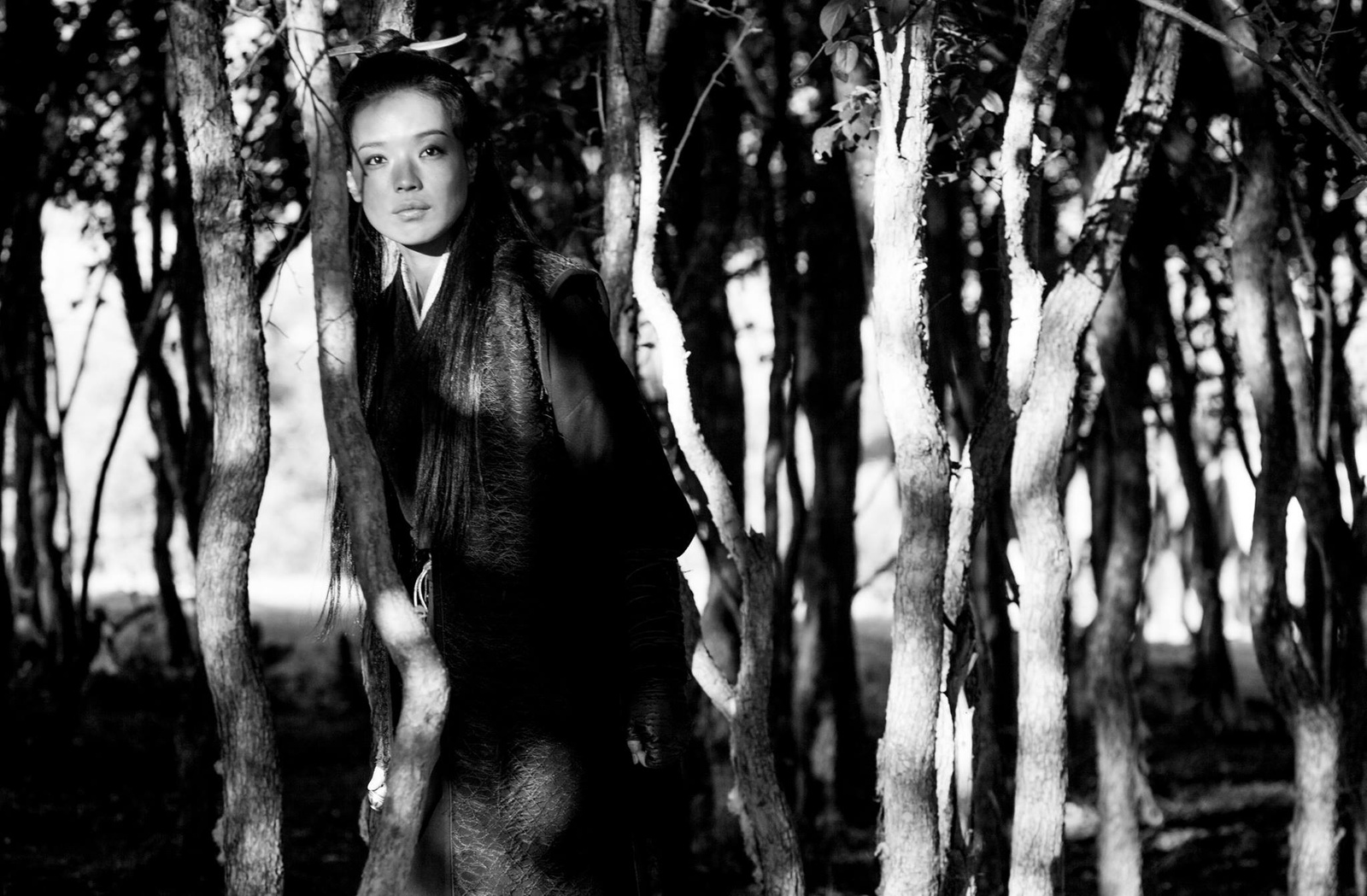  p>《刺客聂隐娘》是一部古装题材的文艺武侠电影,由 a href="#" data