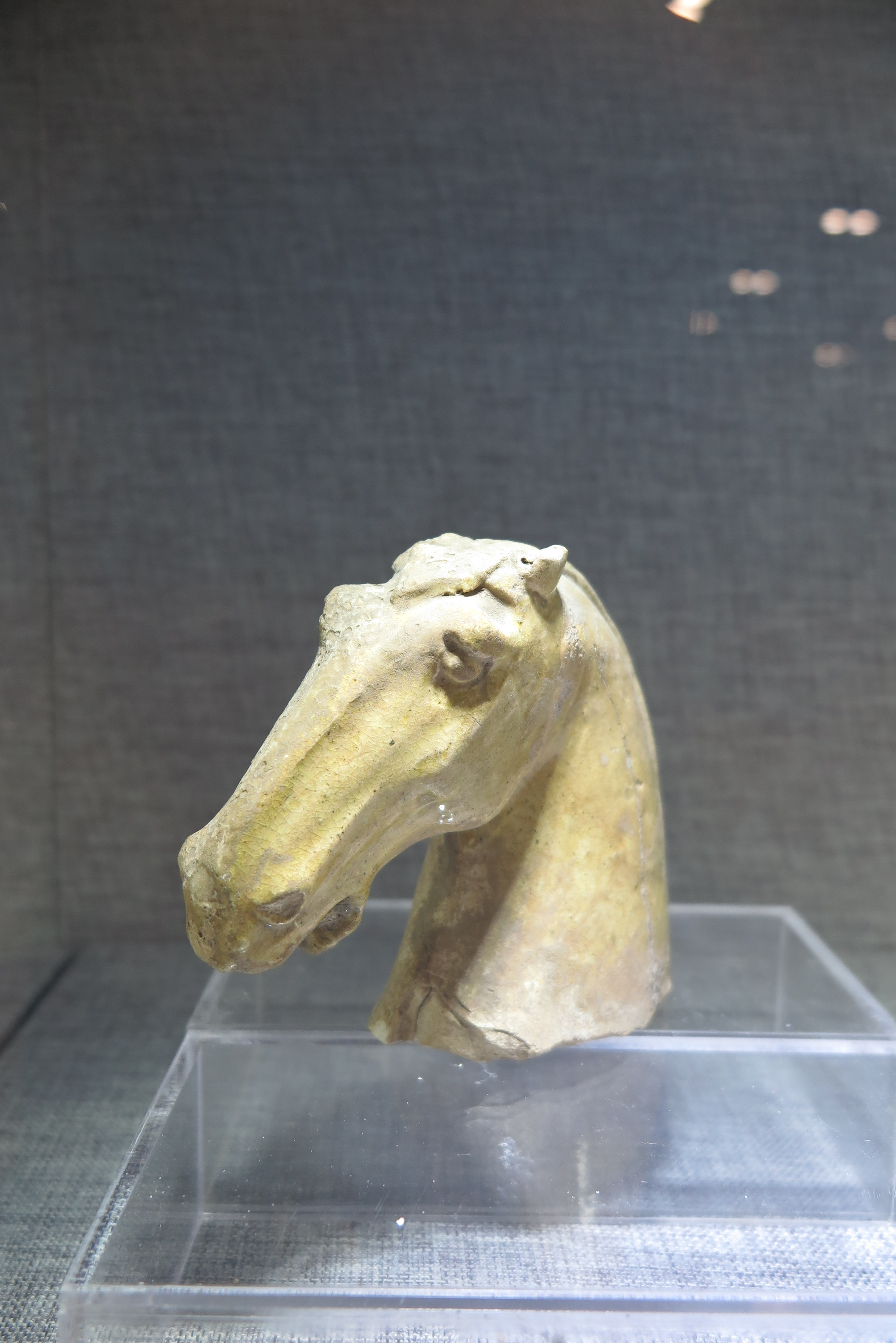  p>黄釉马头(残)是隋代文物展品,现收藏于开封大学大观博物馆. /p>