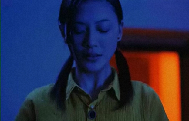 幽灵人间visiblesecret(2001)