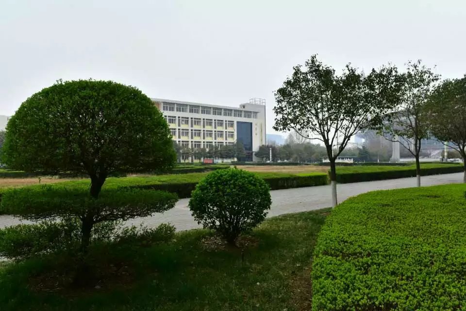 推拿职业学院(henan vocational college of tuina),位于河南省洛阳市