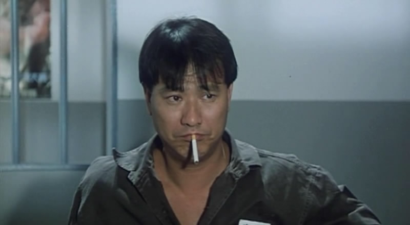 战龙在野zhanlongzaiye(1992)