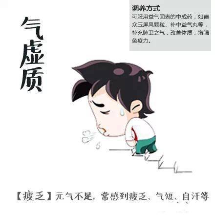 气虚质_百度百科