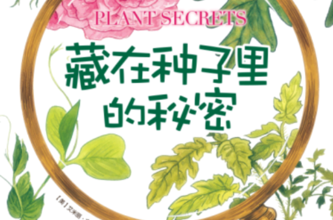 藏在种子里的秘密