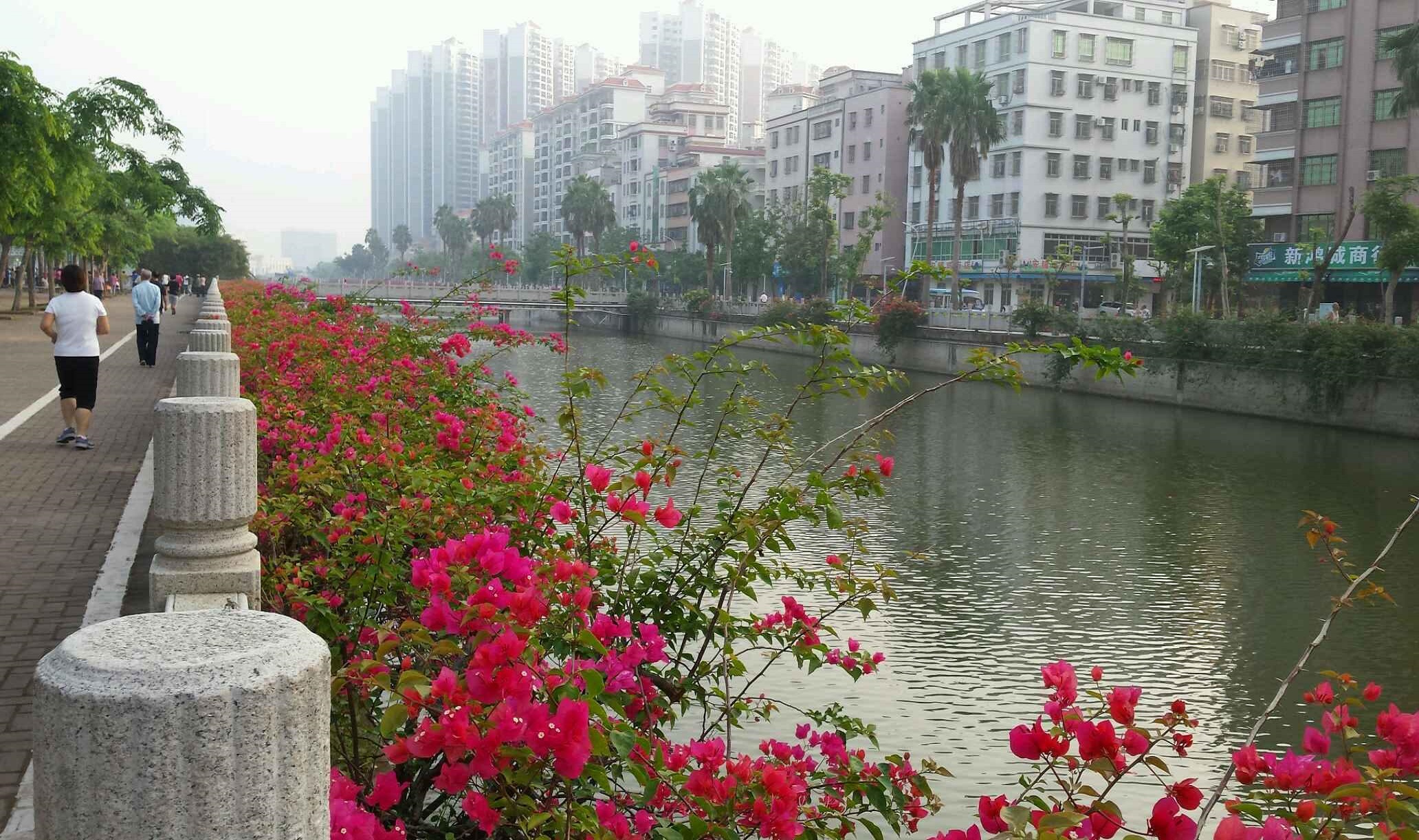  p data-id="go0boky5pn">北桥公园位于广东省湛江市 a target="