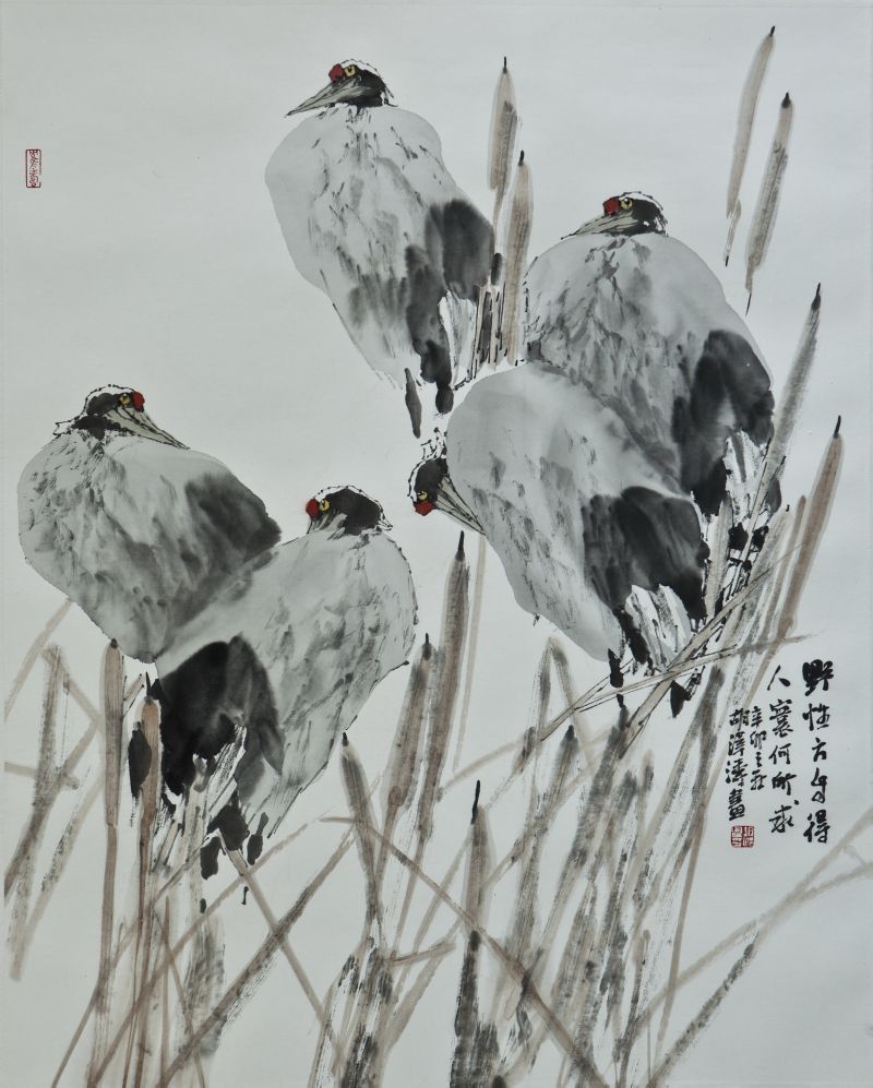 胡泽涛