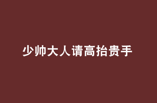 少帅大人请高抬贵手