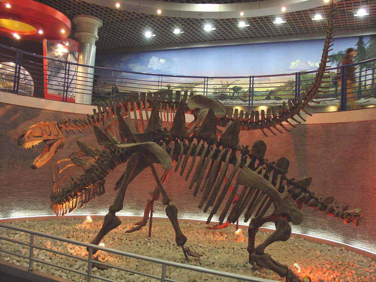 上游永川龙(y.shangyouensis)