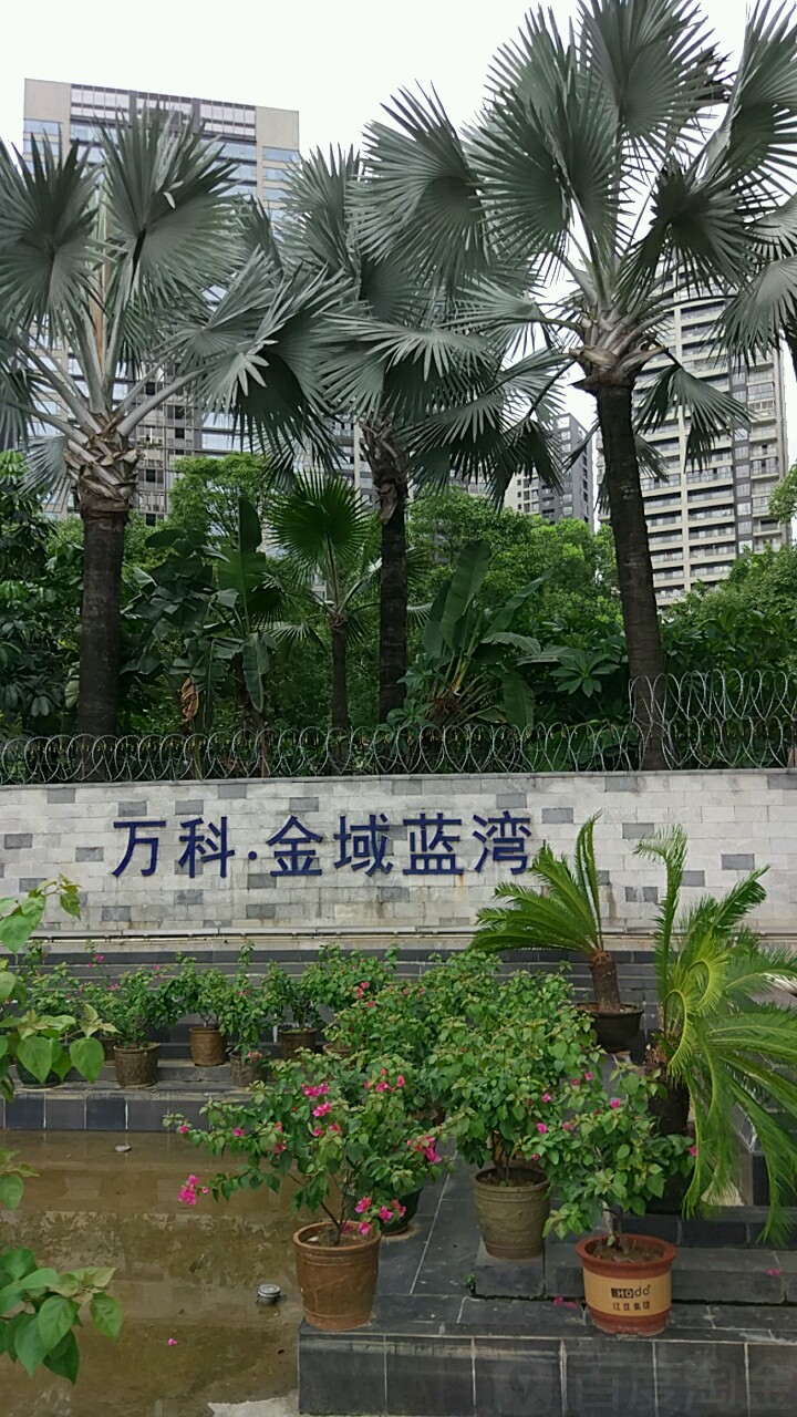 万科金域蓝湾别墅