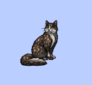 ifs5">梅花落是《 a target="_blank" href="/item/猫武士/4739018"