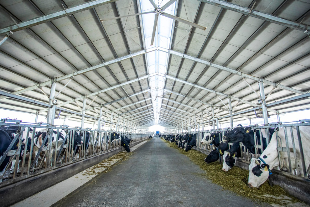 iyz">湖南省南山种畜牧草良种繁殖场(简称南山牧场)位于 /span> span