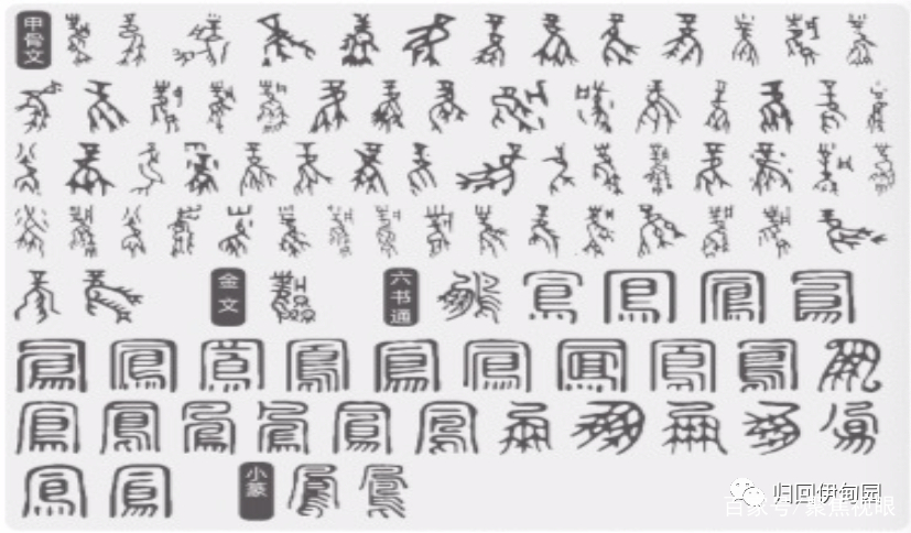凤凰和美 尊贵圣洁_百科TA说