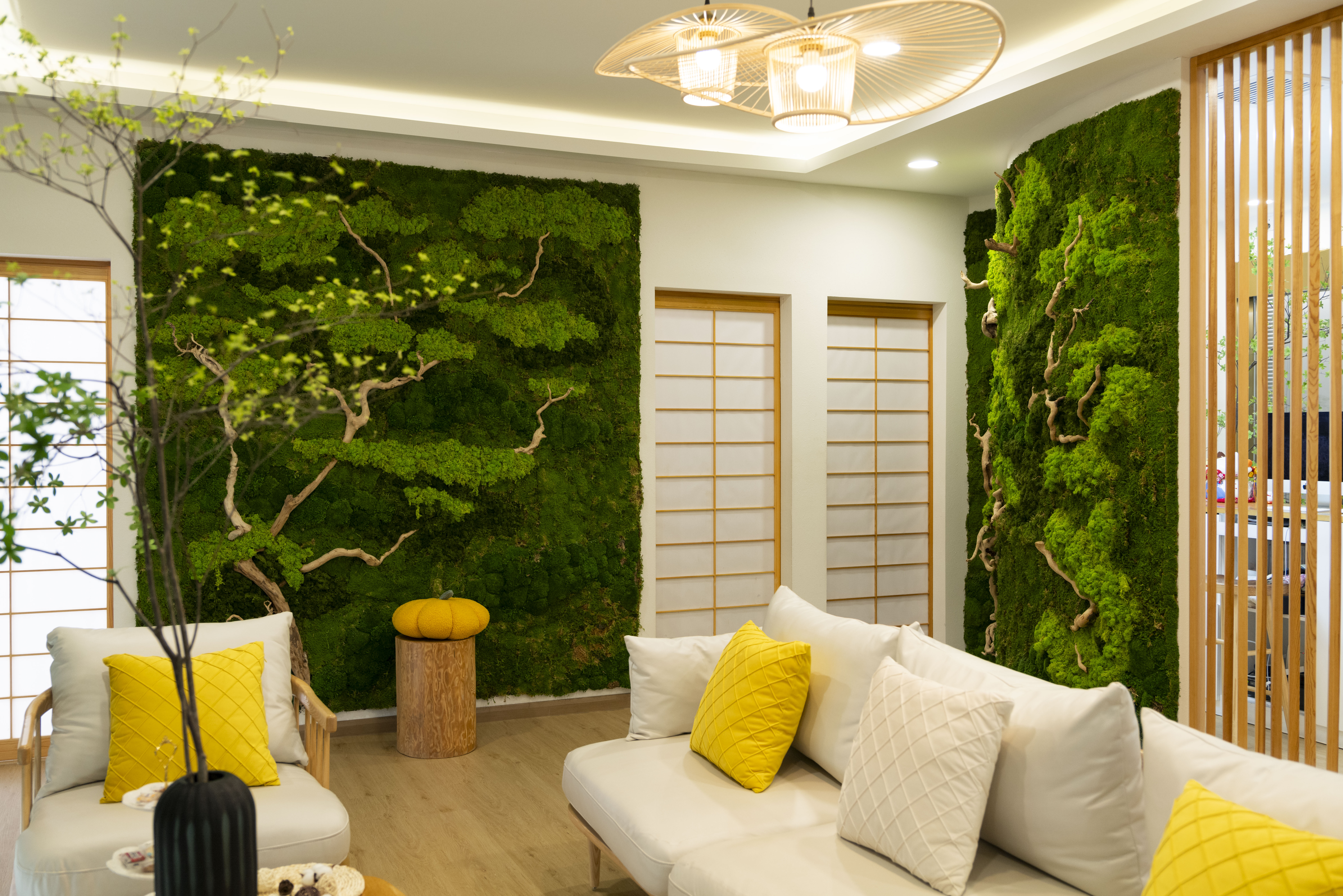 ">poco beauty,是一家专业化美容品牌,于2005年(平成17年)由小林良友