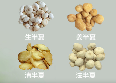 半夏（天南星科半夏属植物）_百度百科