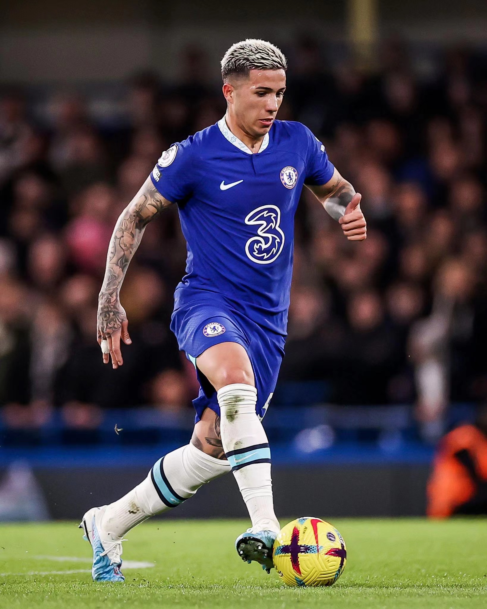 恩佐·费尔南德斯