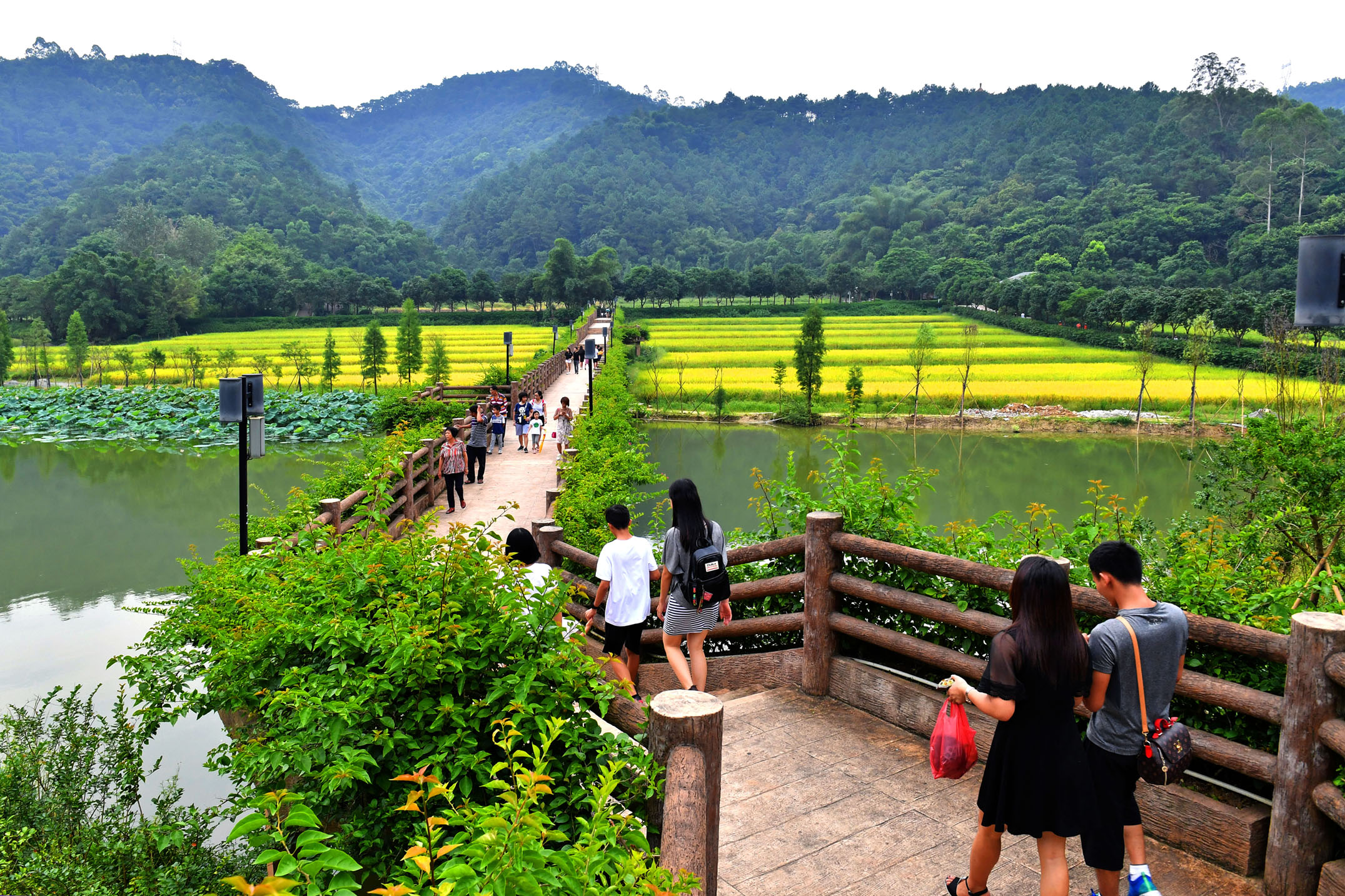 云浮市南山森林公园