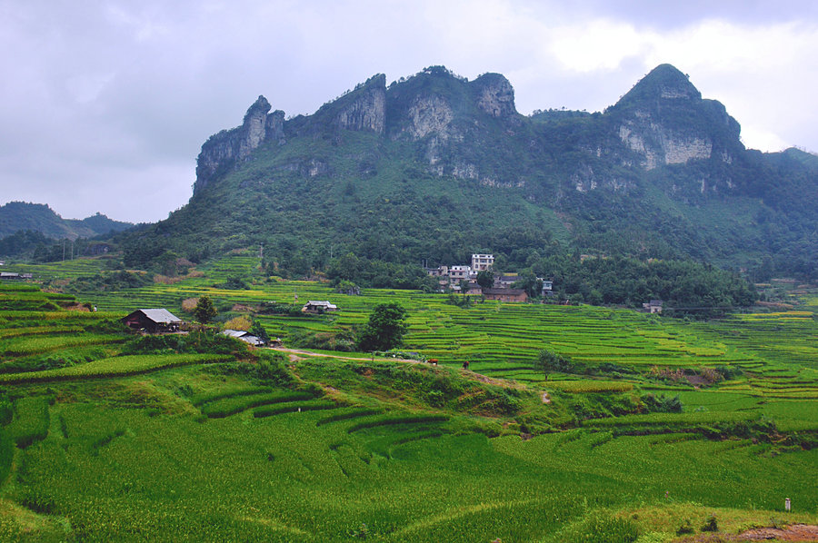 六景镇,隶属于 a target="_blank" href="/item/广西壮族自治区