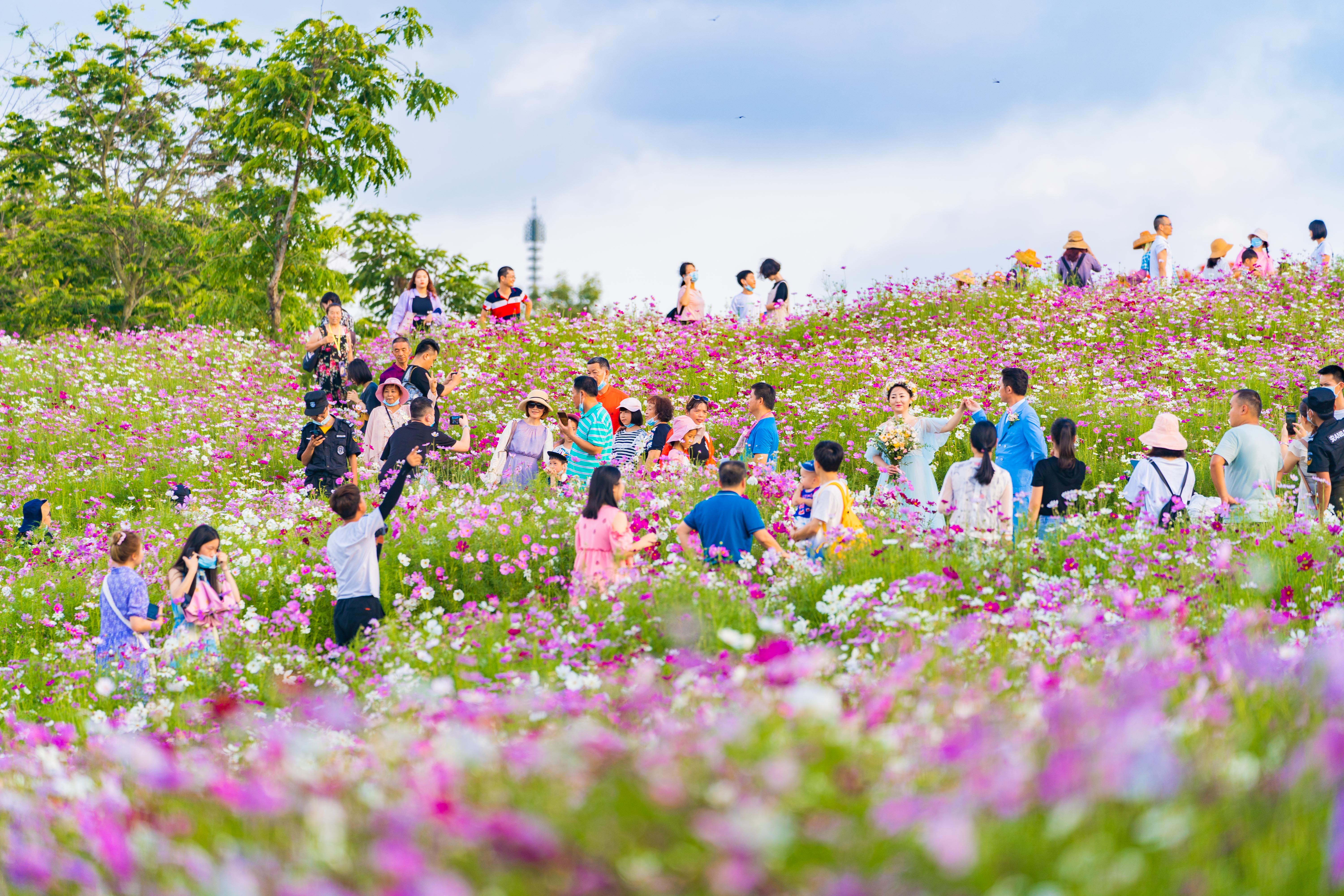 也是世界最大花型人工旅游岛,位于中国海南省儋州市排浦港与洋浦港