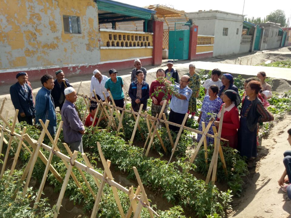  p>其乃巴格村是新疆喀什地区莎车县墩巴格乡的下辖行政村. /p>