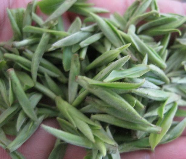 江山绿牡丹茶