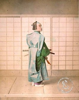 武家_百度百科