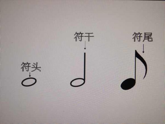  p>符尾(连在 a target="_blank" href="/item/符干/1257167" data