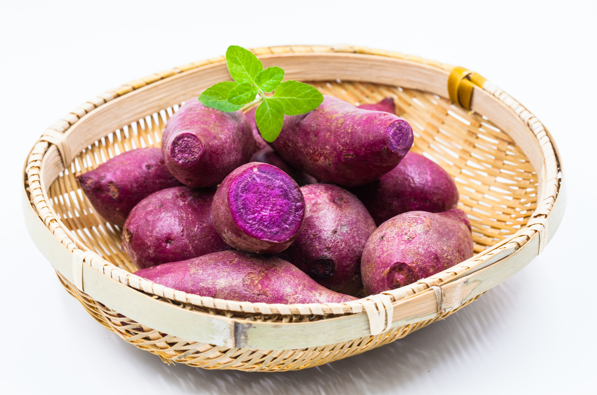  p>紫薯(ipomoea batatas (l.