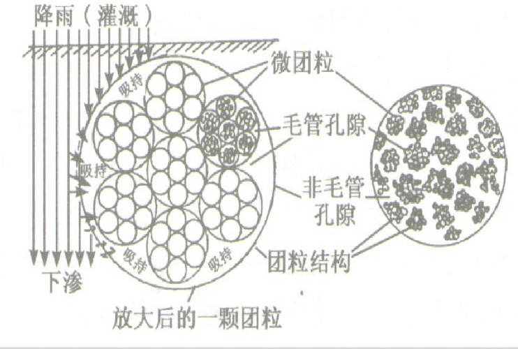 >团聚体 /a>的一种 a href="#" data-lemmaid="1921541">土壤结构 /a>