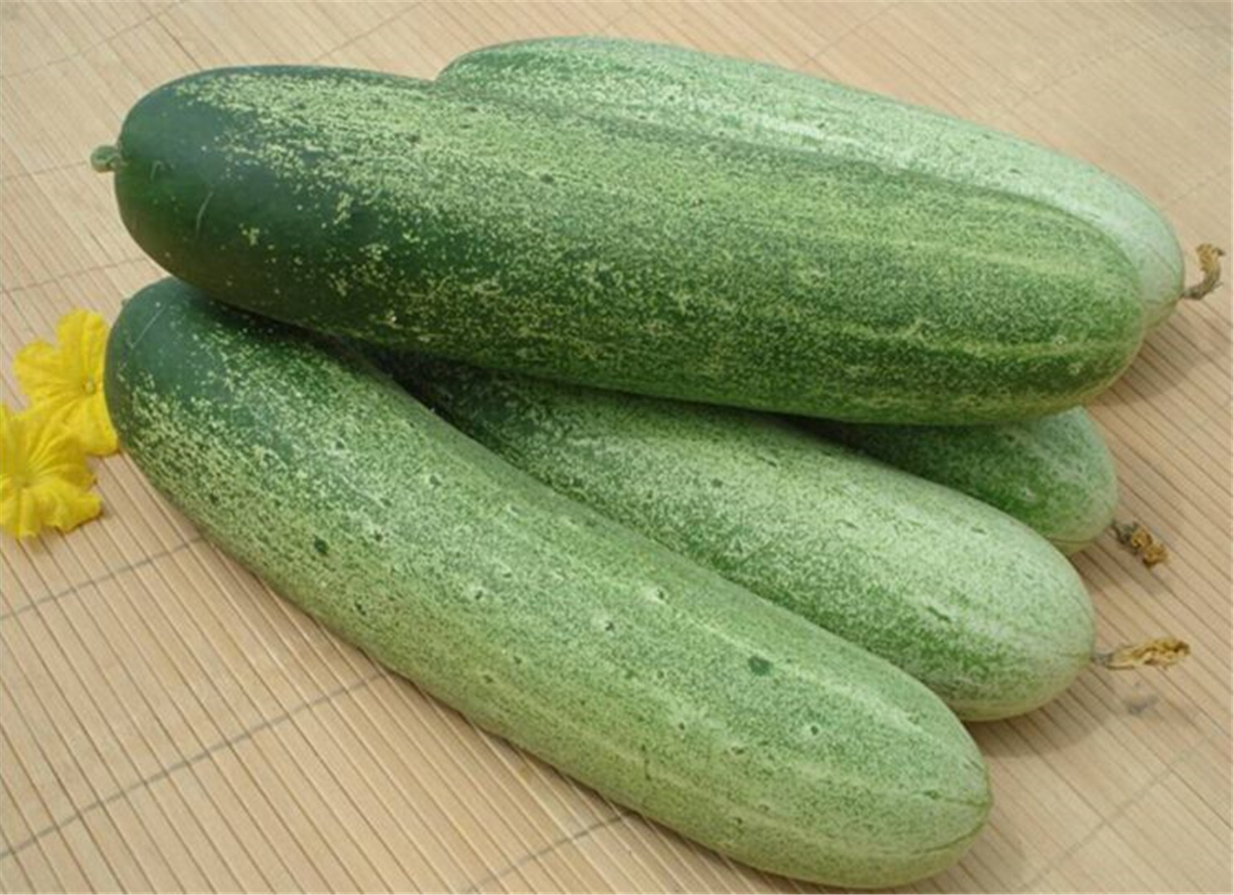 山黄瓜