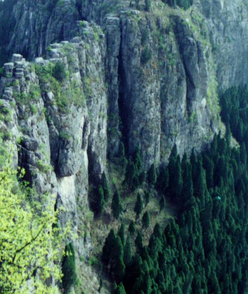 大寨山
