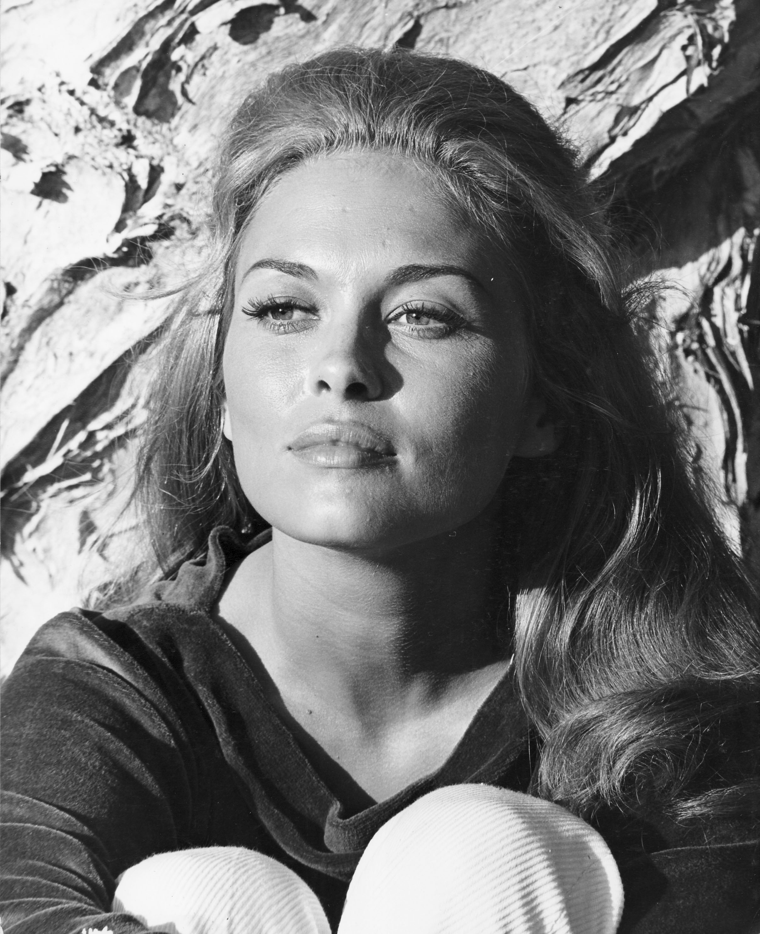  p>费·唐纳薇(faye dunaway),1941年1月14日出生于美国佛罗里达州