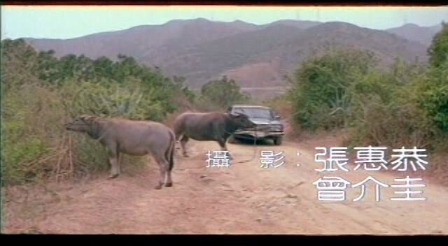  p>《落山风》改编自 a target="_blank" href="/item/汪笨湖/2867836