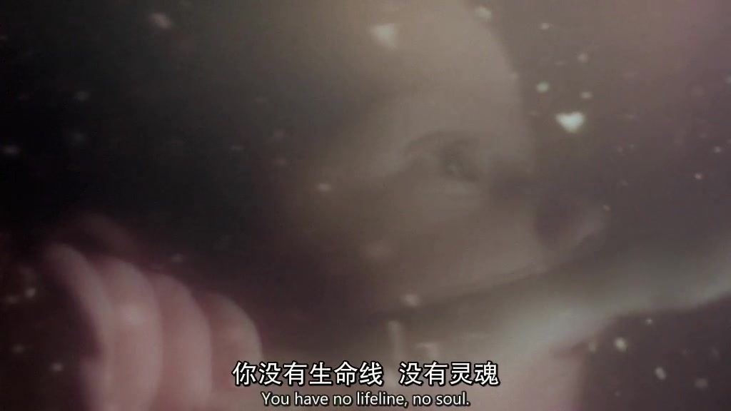 蝴蝶效应thebutterflyeffect(2004)