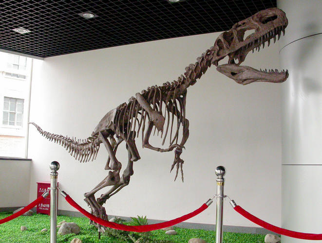  p>单脊龙(又称 a target="_blank" href="/item/单棘龙">单棘龙 /a>