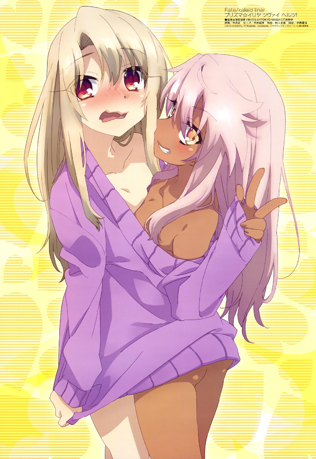 fate/kaleid liner 魔法少女☆伊莉雅 2wei herz!