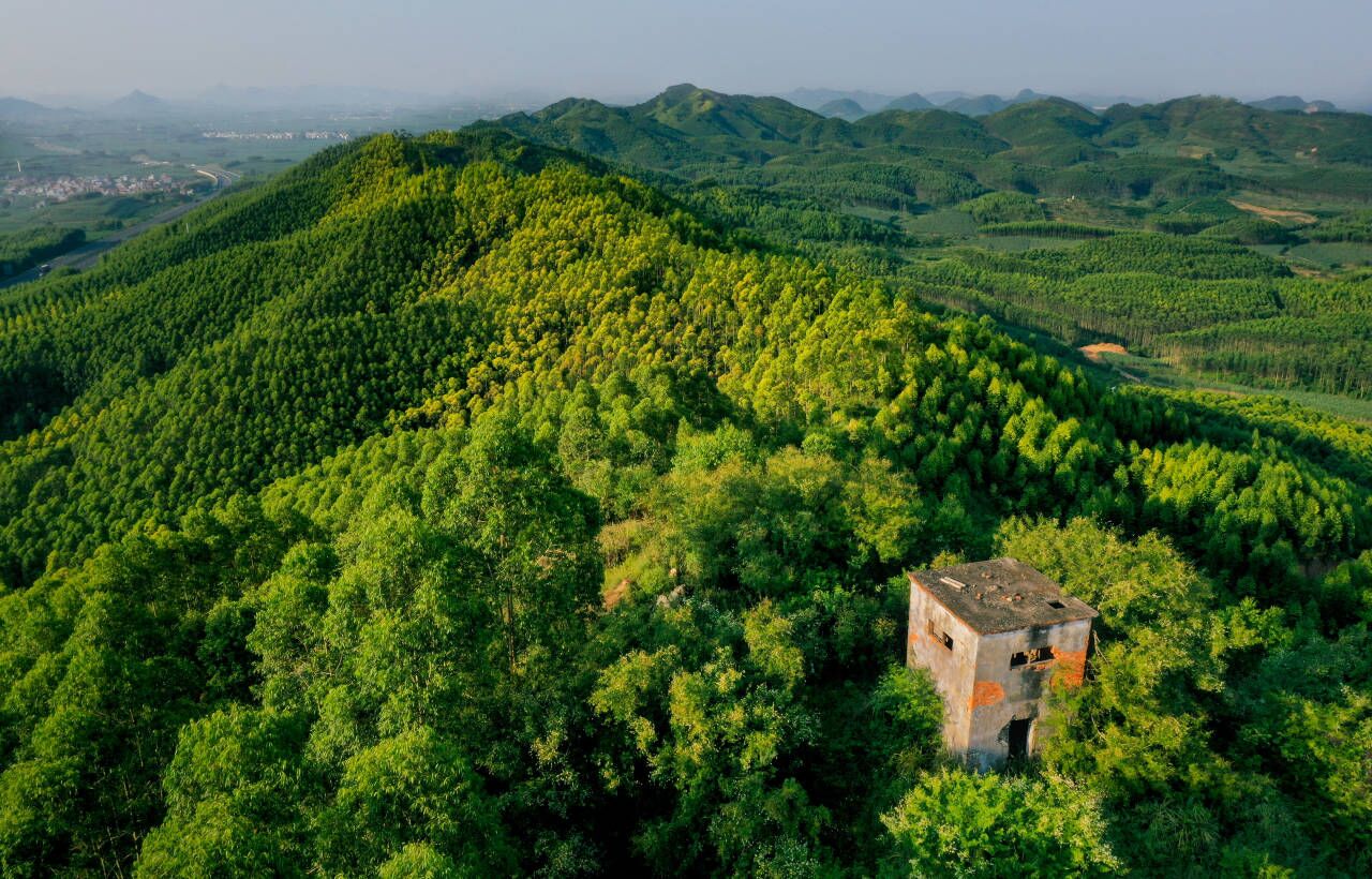  p>维都林场是 a target="_blank" href="/item/广西壮族自治区林业厅