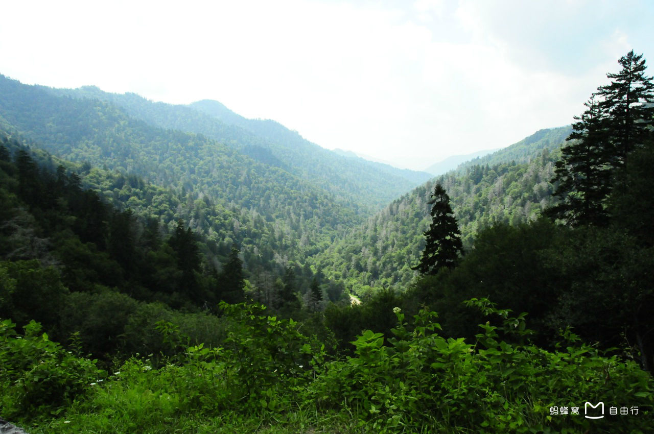 大雾山国家公园